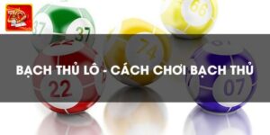 Bạch Thủ Lô Đề Zowin – Săn Thưởng Lớn, Trúng Đậm Mỗi Ngày